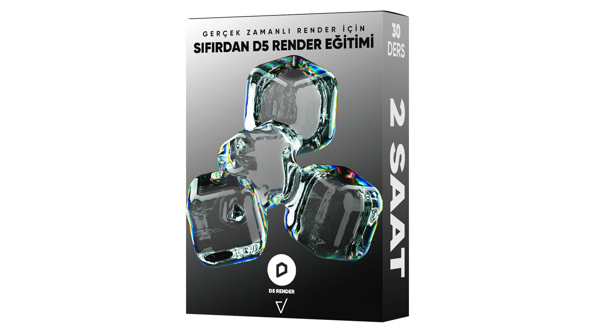d5 render kursu